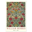 William Morris Rose 1883.