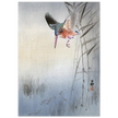 Kingfisher hunting fish by Ohara Koson  woodblock print