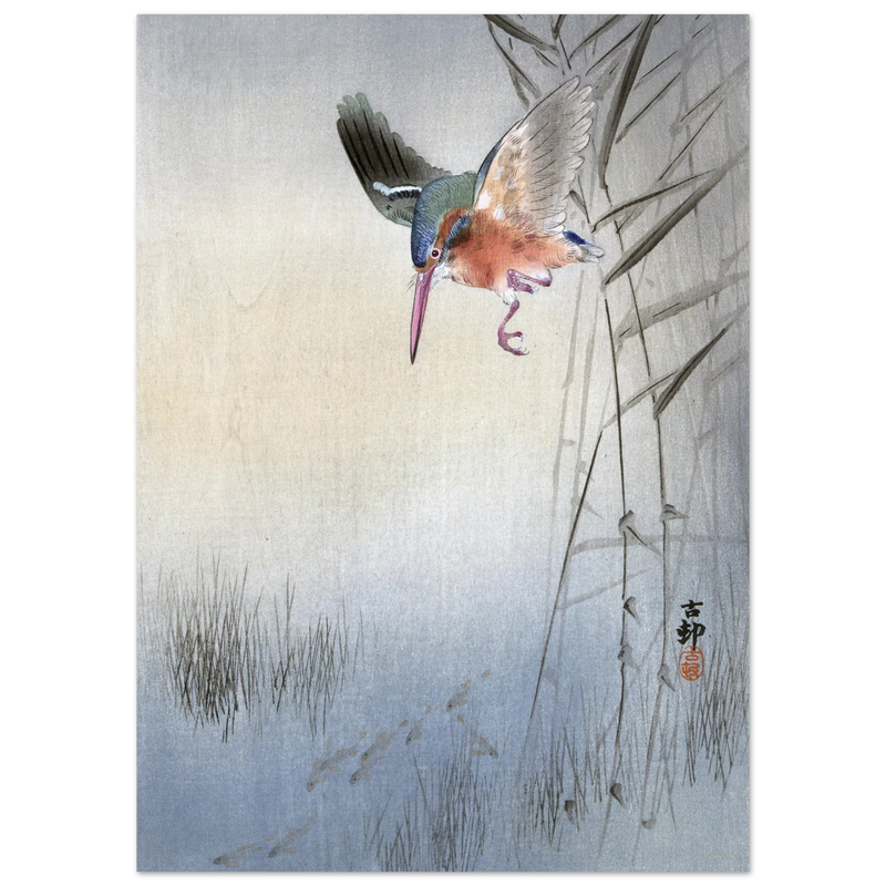 Kingfisher hunting fish by Ohara Koson  woodblock print