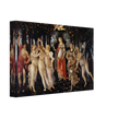 Canvas La Primavera ( Spring ) by Sandro Botticelli 1481-1482