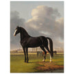 Antique painting of black horse by Anthony Oberman 1828. The fast one in a Meadow.