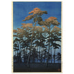 Hikawa Park in Omiya by Kawase Hasui