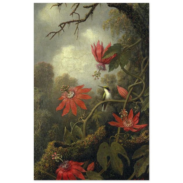 Hummingbird and Passionflowers by Martin Johnson Heade