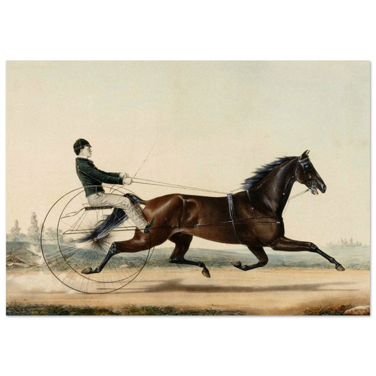 Racehorse Mac by  Nathaniel Currier 1853.
