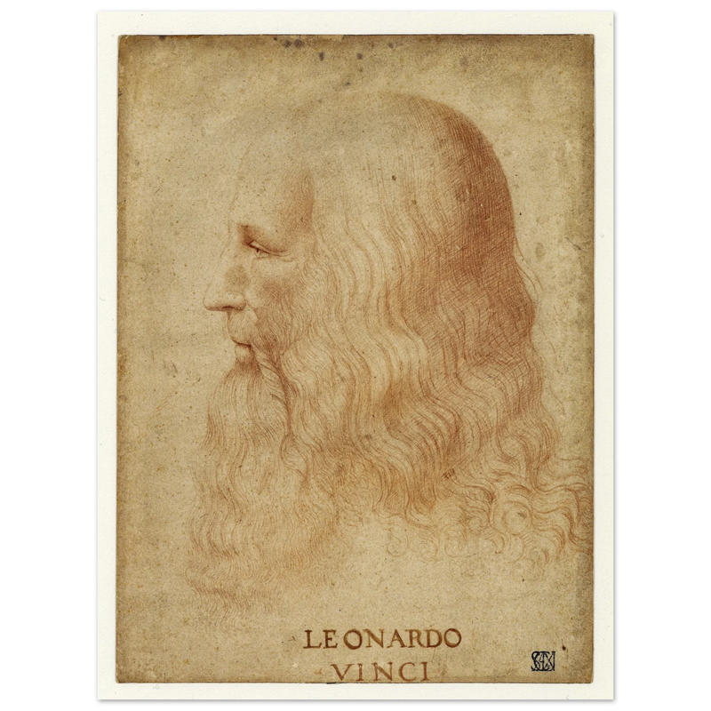 Portrait of Leonardo da Vinci by anonimous artist 1510-1530 .
