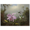 Cattleya Orchid with Two Brazilian Hummingbirds by Martin Johnson Heade