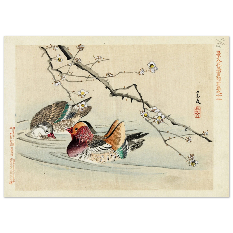 Two ducks by Matsumura Keibun, 1892.