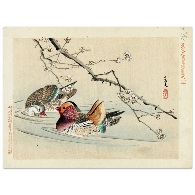 Two ducks by Matsumura Keibun, 1892.