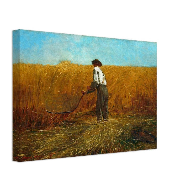 The Veteran in a New Field by Winslow Homer 1865.