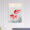 Two veiltail goldfish by Ohara Koson