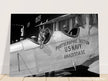 Police dog disguised as a pilot at the Naval Air Station