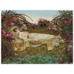 The Sleeping Beauty painting by Archibald Wakley