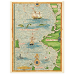 Ancient illustrated beautiful map poster reproduction by Guillaume Le Testu 1555