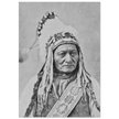 Sitting Bull native american leader.