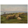 Sheep by the Sea by Rosa Bonheur.