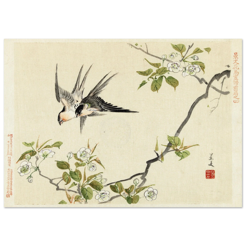 Two swallows by Matsumura Keibun, 1892 .