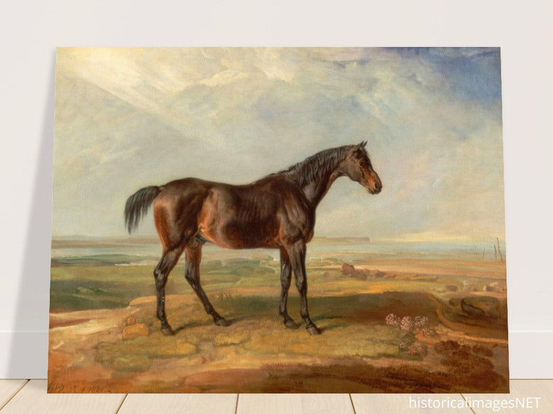 Old painting of brown horse by James Ward 1820.