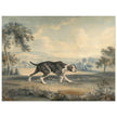 The Spanish Pointer watercolor painting by John Buckler after George Stubbs.