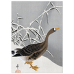 White-fronted goose in the snow by Ohara Koson