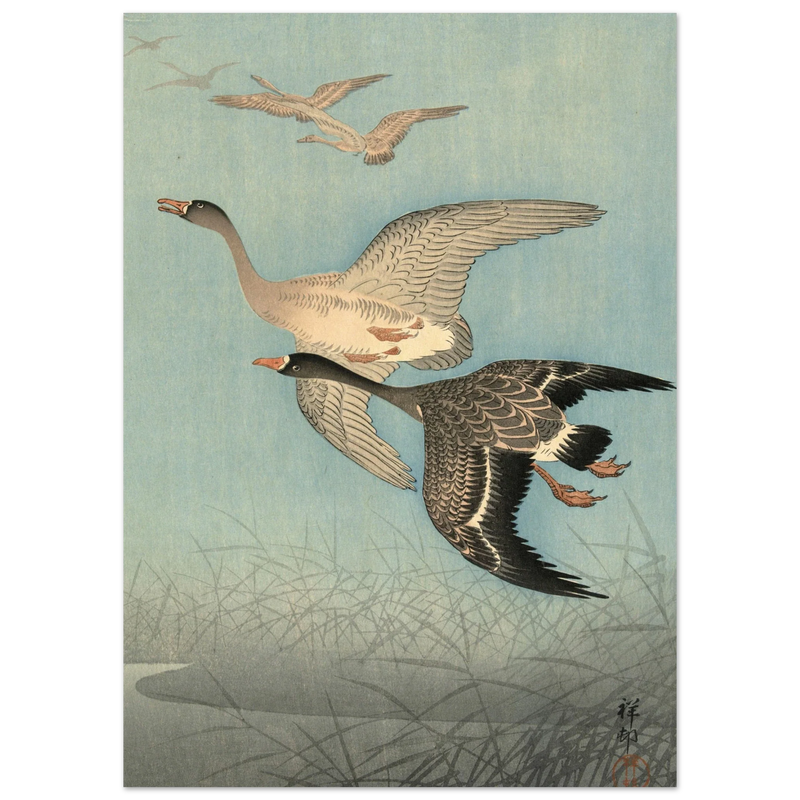 Ohara Koson White fronted geese in flight.