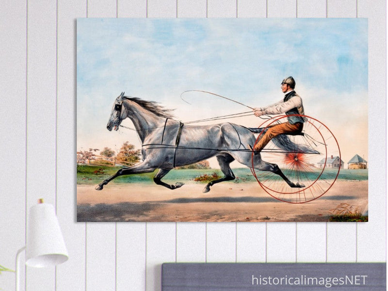 Harness cart horse racing. Grey Eddie by Nathaniel Currier 1855.