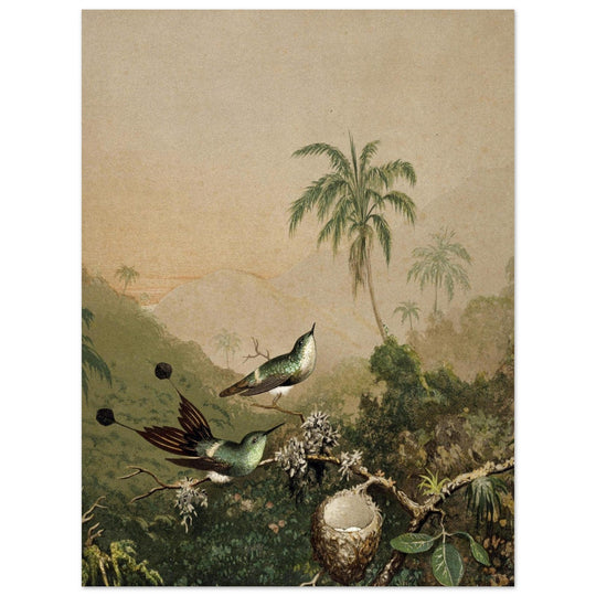 Brazilian Hummingbirds II by Martin Johnson Heade