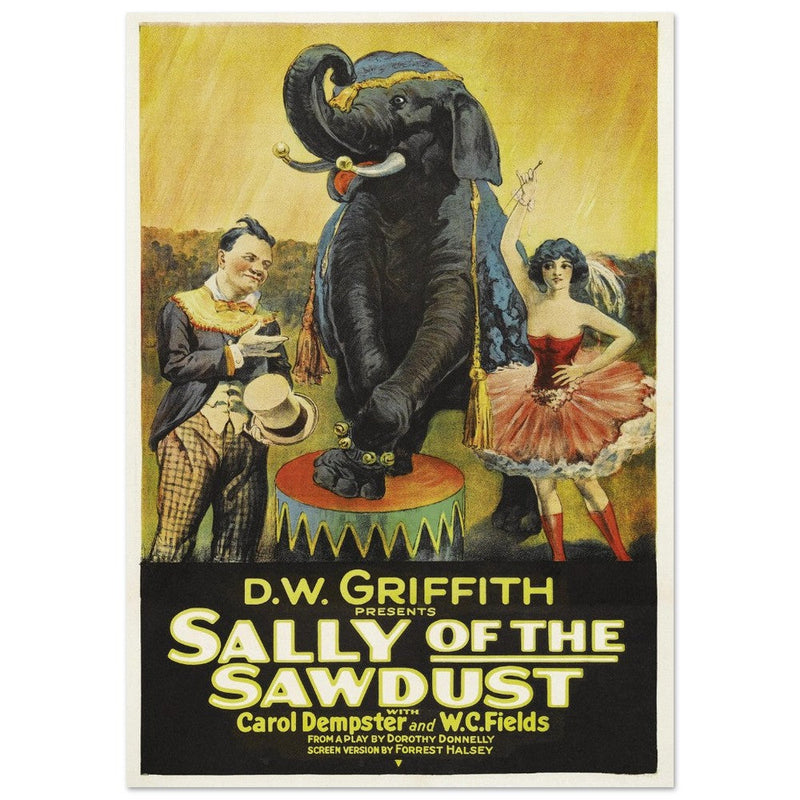 Sally of the Sawdust by D.W Griffith movie poster.