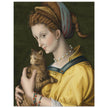 Portrait of a young lady holding a cat by Antonio d'Ubertino Verdi, Bachiacca