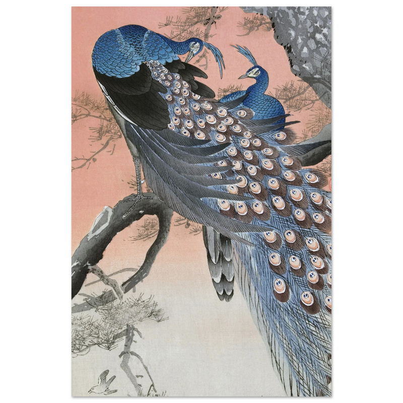 Two peacocks on tree branch by Ohara Koson