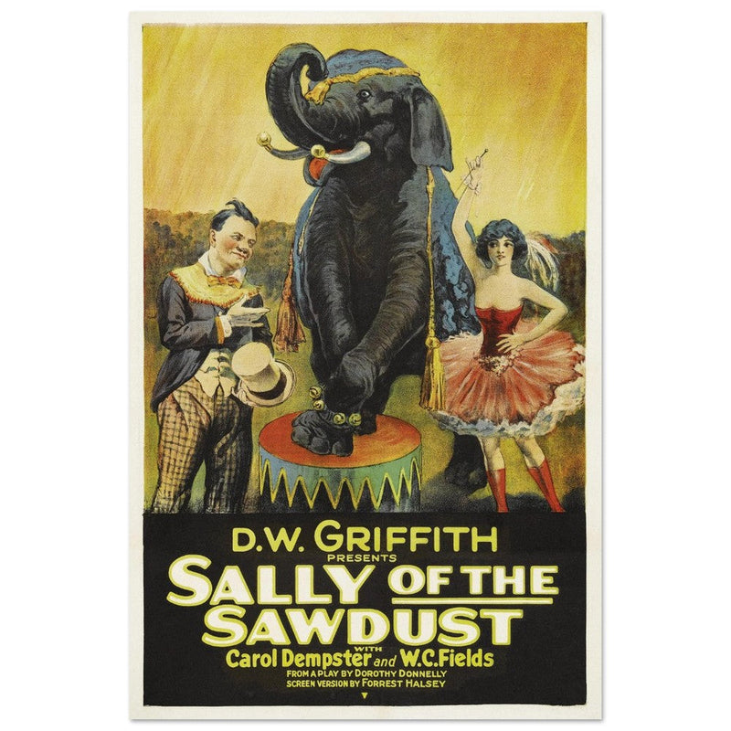 Sally of the Sawdust by D.W Griffith movie poster.