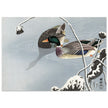 Two Mallards near a Snow-Covered Lotus by Ohara Koson