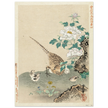 Quail with chicks by Kano Tsunenobu, 1893.