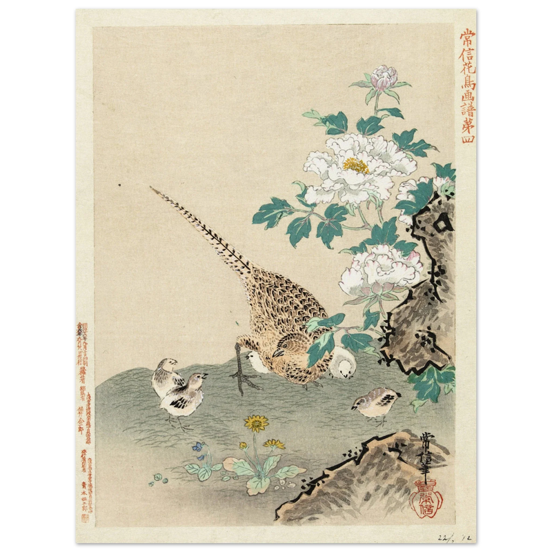 Quail with chicks by Kano Tsunenobu, 1893.