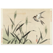 Bird flying among grasses by Matsumura Keibun, 1892.