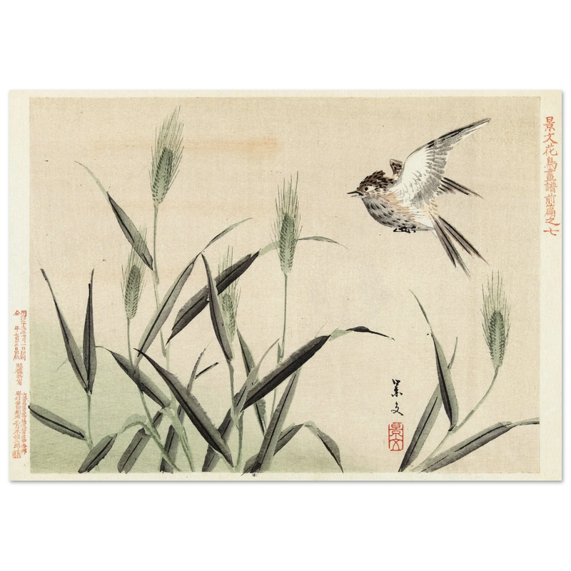 Bird flying among grasses by Matsumura Keibun, 1892.