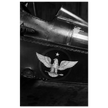 Eagle emblem on airplane Vintage aircraft old photograph reproduction