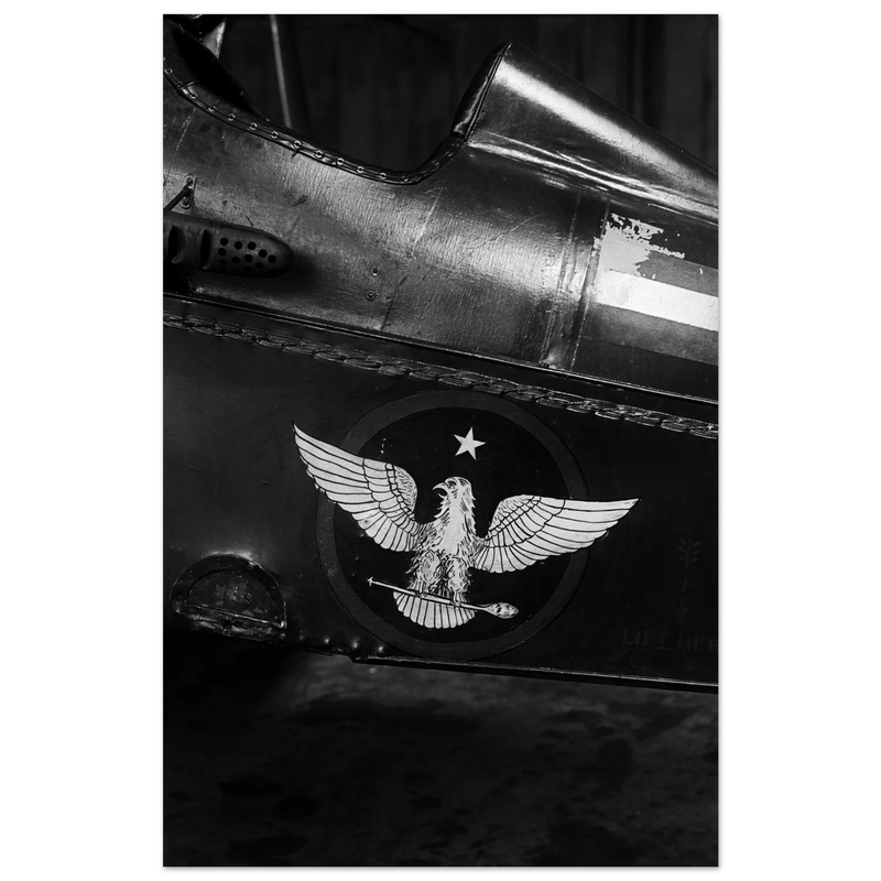 Eagle emblem on airplane Vintage aircraft old photograph reproduction