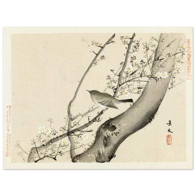 Bird in tree with white blossom by Matsumura Keibun, 1892