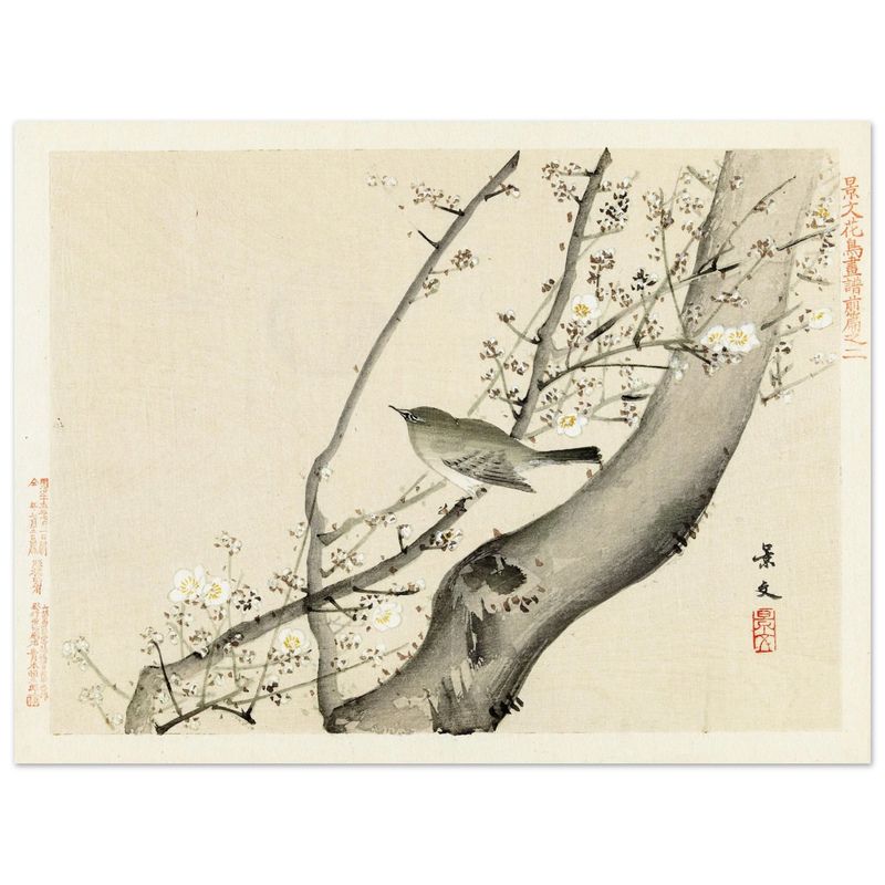Bird in tree with white blossom by Matsumura Keibun, 1892