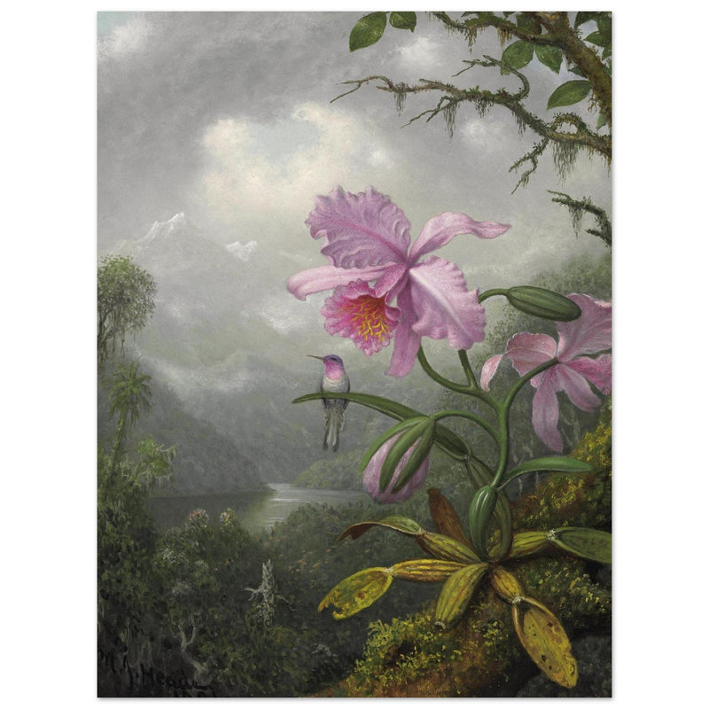 Hummingbird Perched on the Orchid Plant  by Martin Johnson Heade