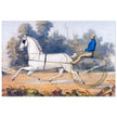 Grey Eagle horse cart antique lithograph by Nathaniel Currier.