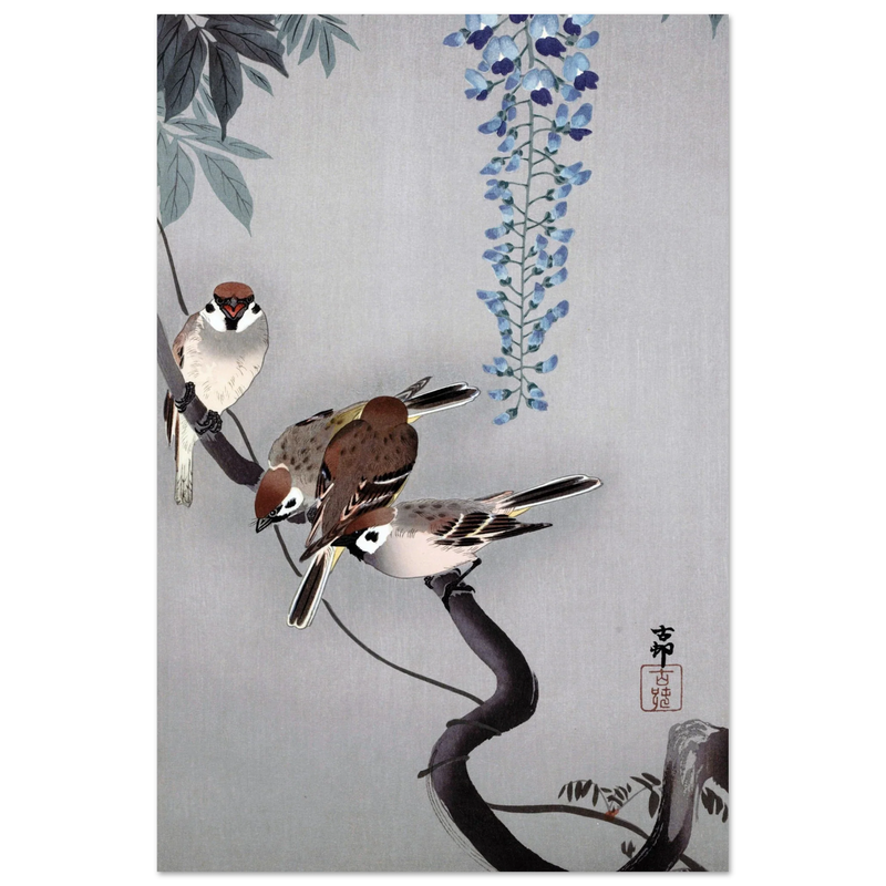Ring sparrows at wisteria by Ohara Koson