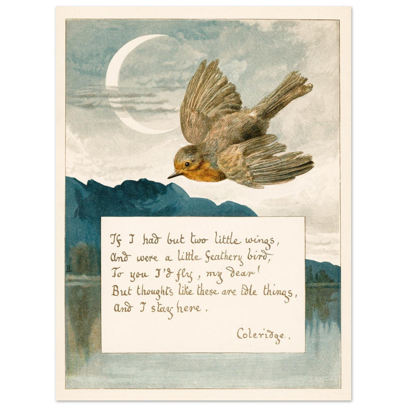 Samuel Taylor Coleridge poem Lady Lindsay About Robins bird illustration
