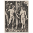 Adam and Eve by Albrecht Dürer
