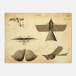 Different flying machines from the past. Old vintage airplanes. Aviation history.