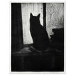 The Cat poster reproduction Author : Cristopher Richard Wynne Nevinson