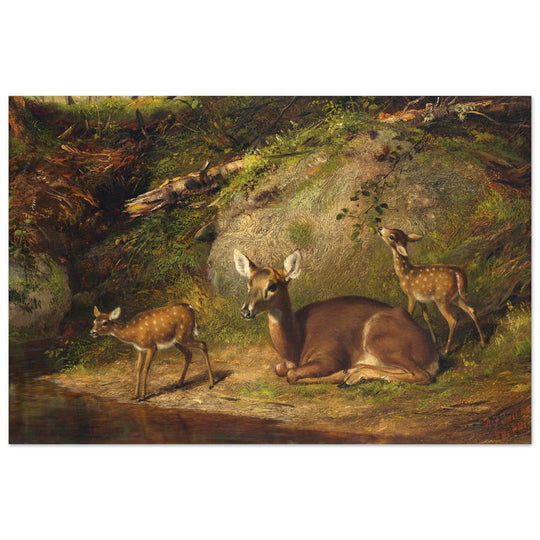Doe and Two Fawns by Arthur Fitzwilliam Tait  1882. Deer inside forest.