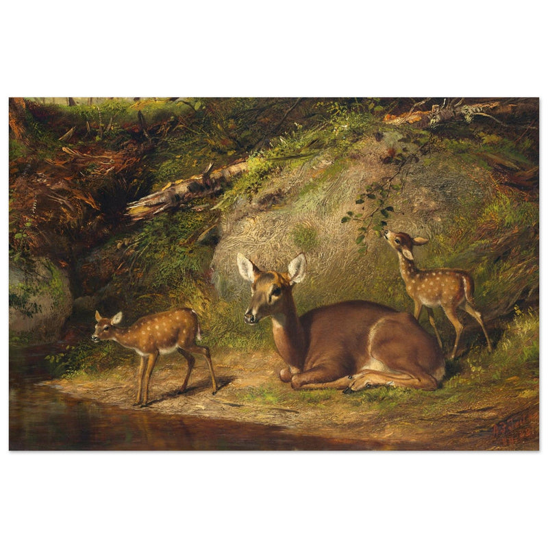 Doe and Two Fawns by Arthur Fitzwilliam Tait  1882. Deer inside forest.