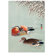 Mandarin ducks by Ohara Koson