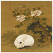Cat, rock, and peonies